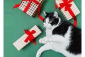 Petgoodsshop